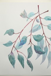 Beautiful watercolor tropical leaves painted on white paper, top view