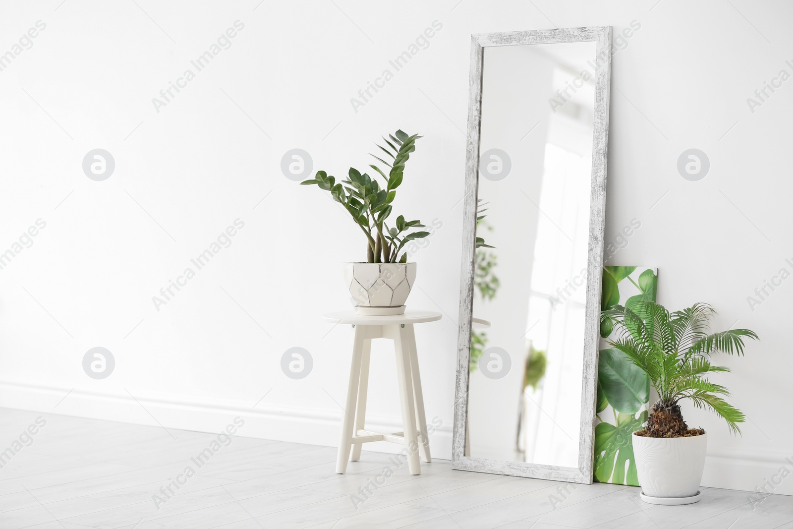 Photo of Modern interior with large stylish mirror with tropical plants