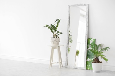 Modern interior with large stylish mirror with tropical plants