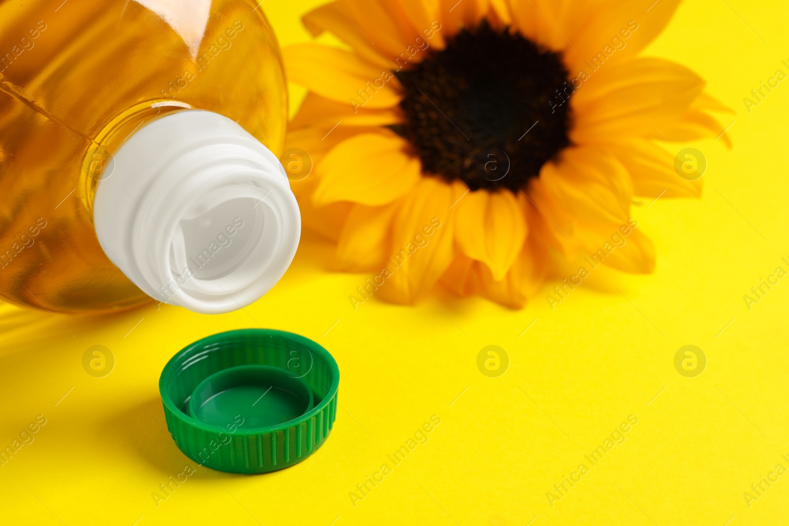 Photo of Bottle of cooking oil and sunflower on yellow background, closeup