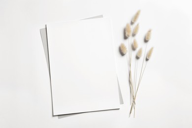 Empty sheet of paper and dry decorative spikes on white background, flat lay. Mockup for design