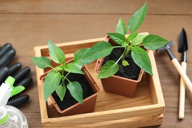 Photo of Seedlings growing in plastic containers with soil on wooden table, above view
