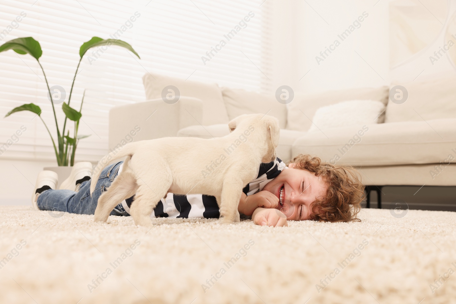 Photo of Little boy with cute puppy on beige carpet indoors