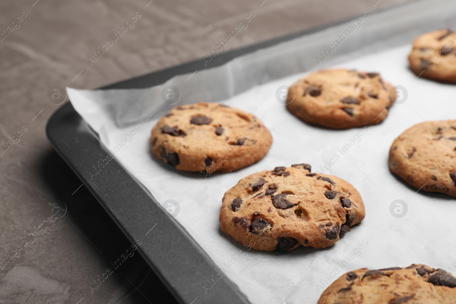 Photo of Baking sheet with chocolate chip cookies on grey background, closeup