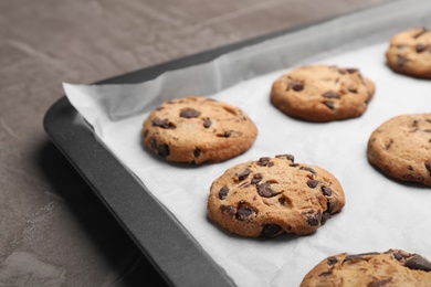 Baking sheet with chocolate chip cookies on grey background, closeup