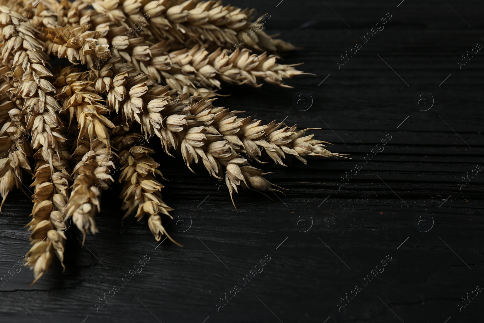 Photo of Bunch of wheat on black wooden table, closeup
