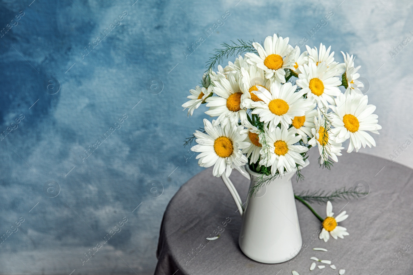 Photo of Jug with beautiful chamomile flowers on table against color background