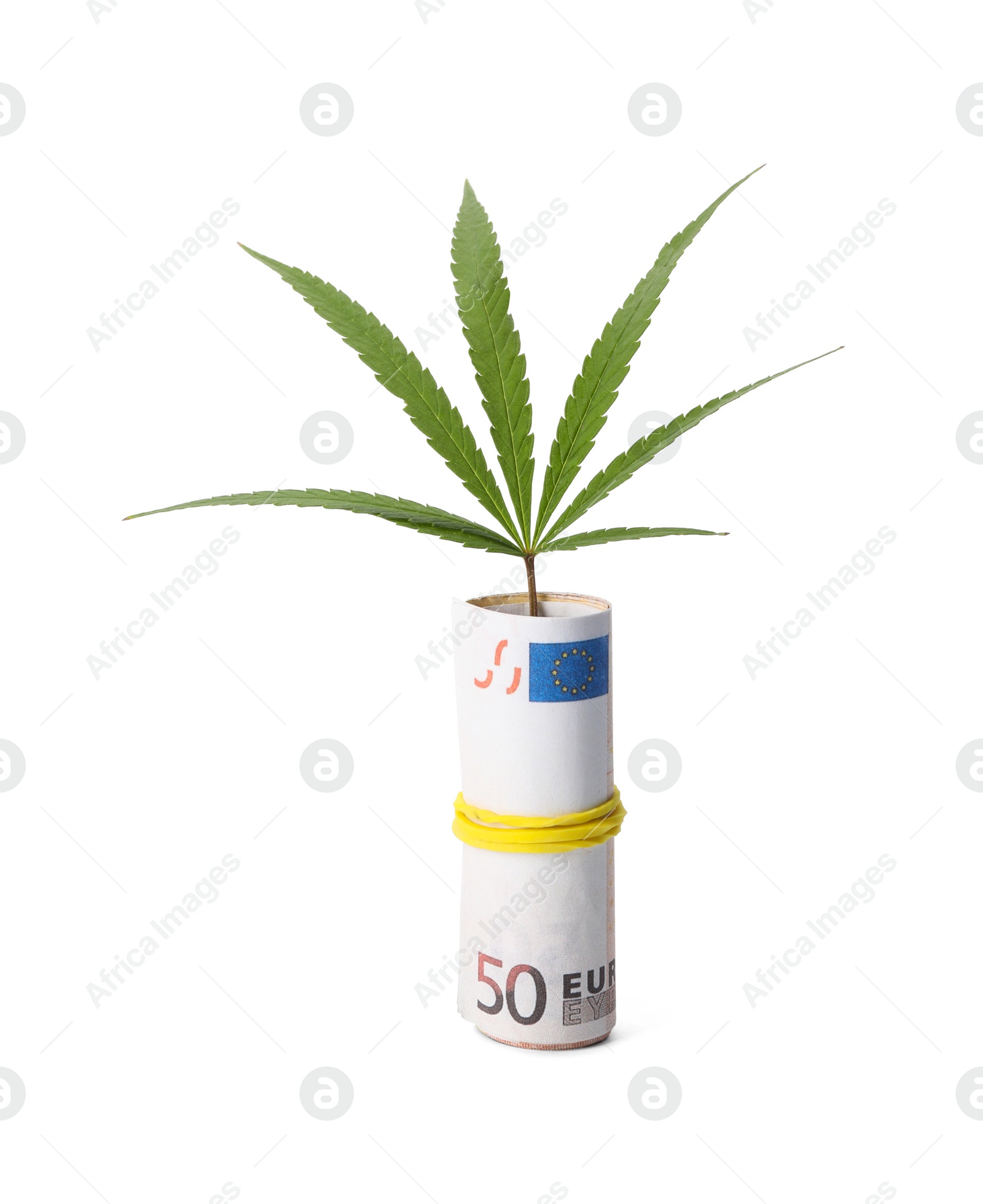 Photo of Hemp leaf and rolled money on white background