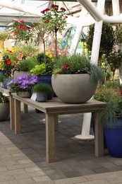 Photo of Many different potted flowers on wooden tables outdoors