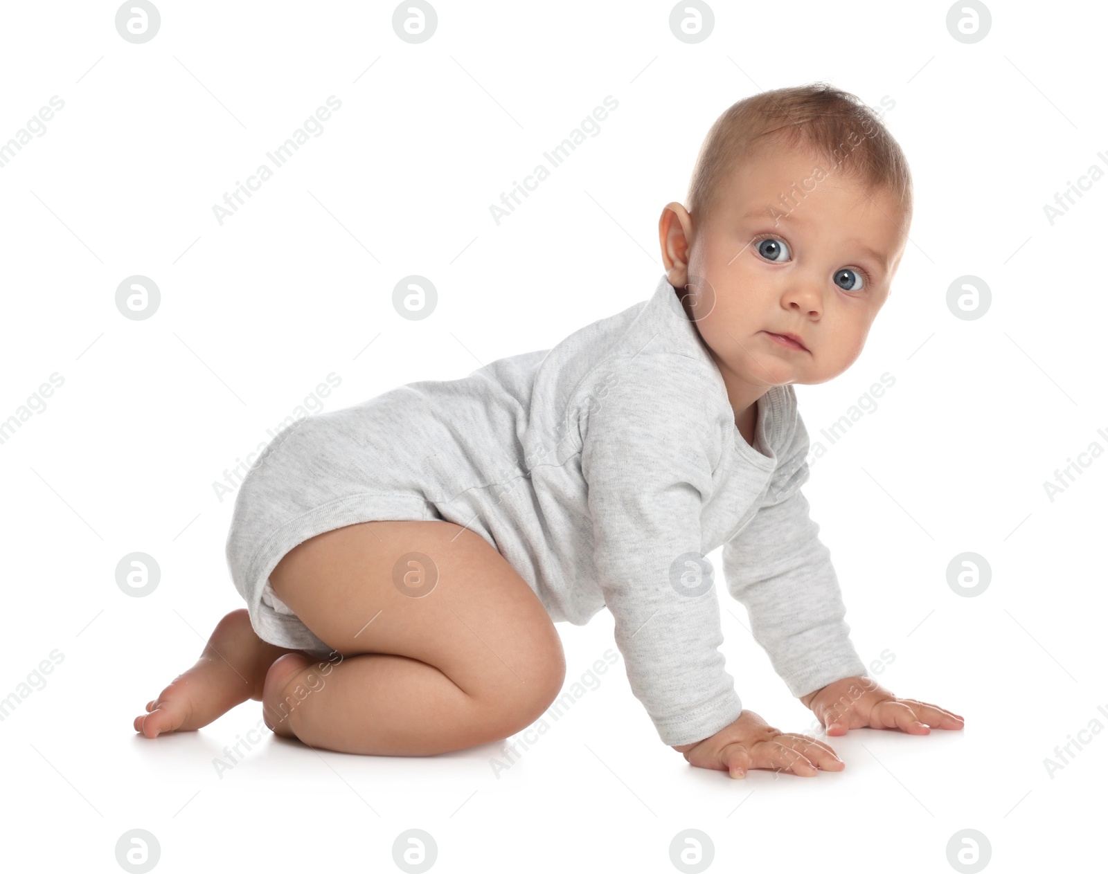 Photo of Cute little baby crawling on white background