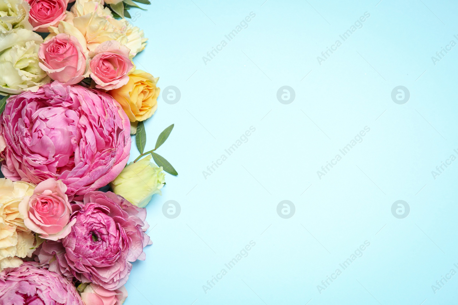 Photo of Flat lay composition with beautiful flowers and space for text on light blue background. Floral card design