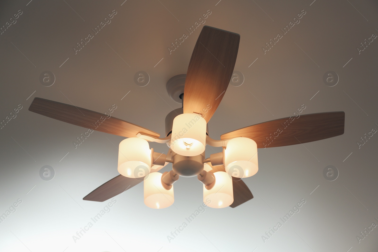 Photo of Modern ceiling fan with lamps indoors. Interior element