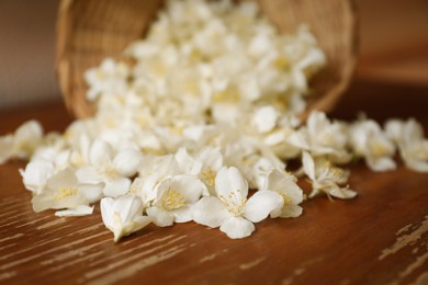 Photo of Beautiful white jasmine flowers on wooden table, closeup