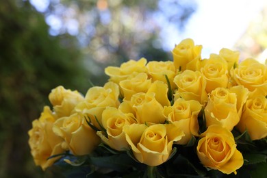 Beautiful bouquet of yellow roses outdoors, closeup