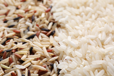Photo of Brown and polished rice as background, closeup