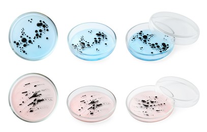 Image of Collage of Petri dishes with bacteria culture on white background, different angles