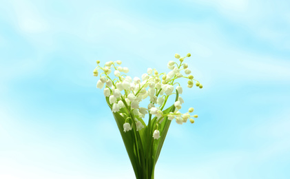 Photo of Beautiful lily of the valley flowers on light background