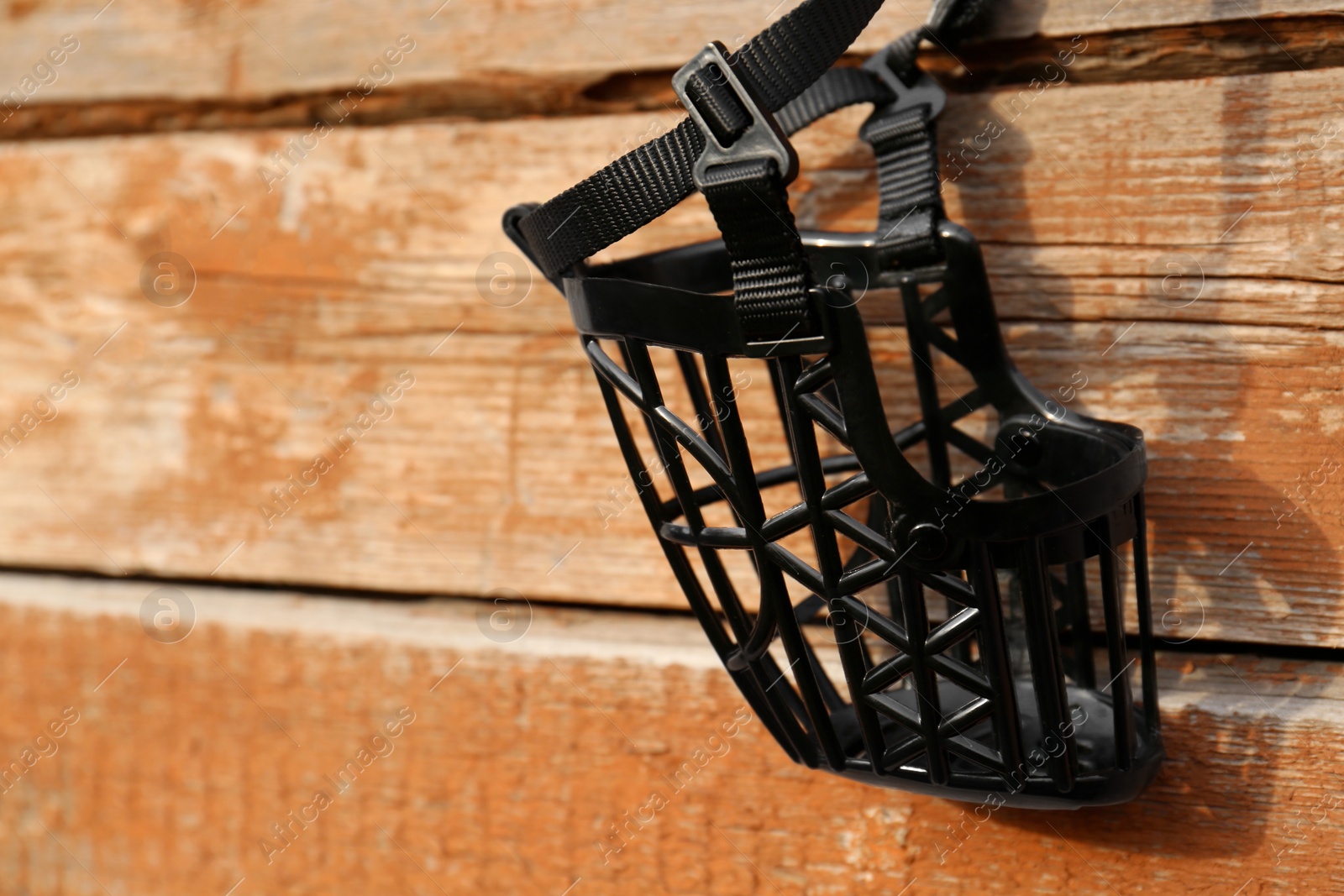 Photo of Black dog muzzle hanging near wooden fence, closeup. Space for text