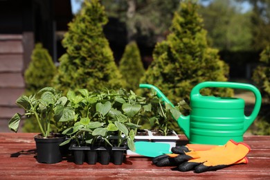 Photo of Seedlings growing in plastic containers with soil, rubber gloves and watering can on wooden table outdoors