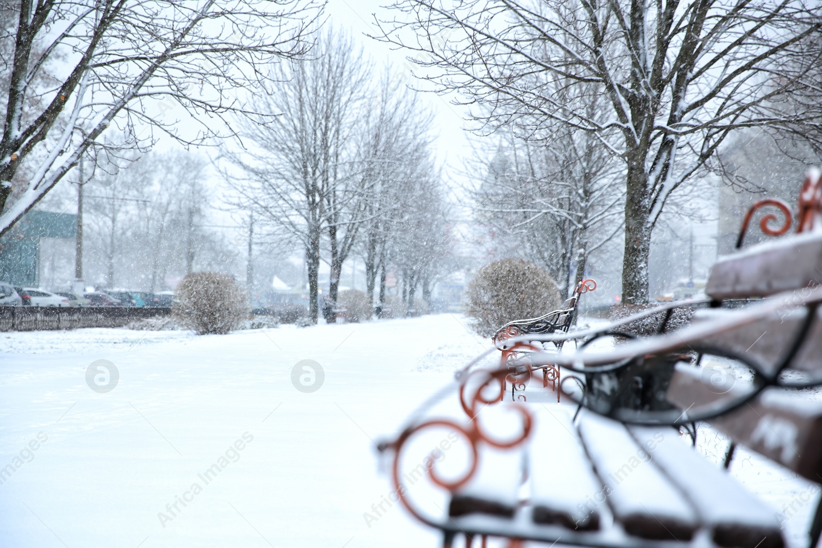 Photo of Winter city park with benches on snow storm day. Space for text