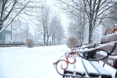 Photo of Winter city park with benches on snow storm day. Space for text