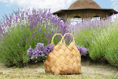 Photo of Wicker bag with beautiful lavender flowers near bushes outdoors