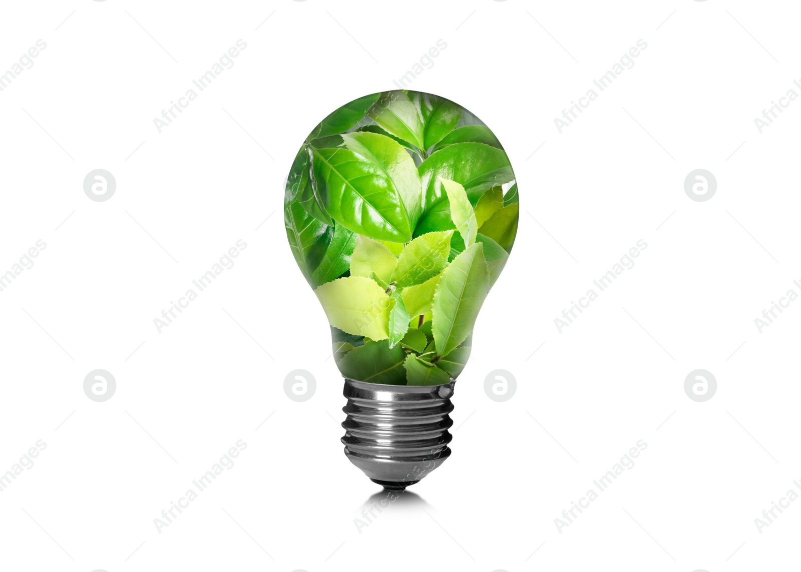 Image of Saving energy, eco-friendly lifestyle. Fresh green leaves inside of light bulb on white background