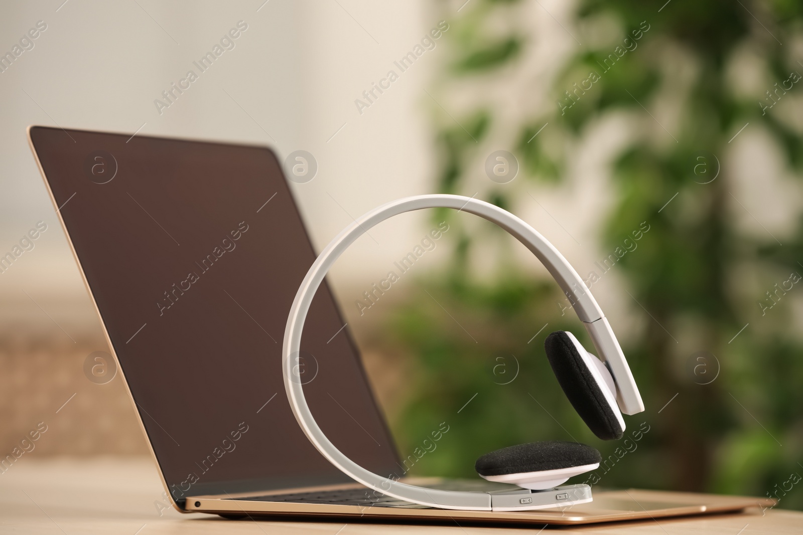 Photo of Modern headphones and laptop on table indoors