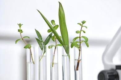 Photo of Laboratory glassware with different plants on blurred background, closeup. Chemistry research