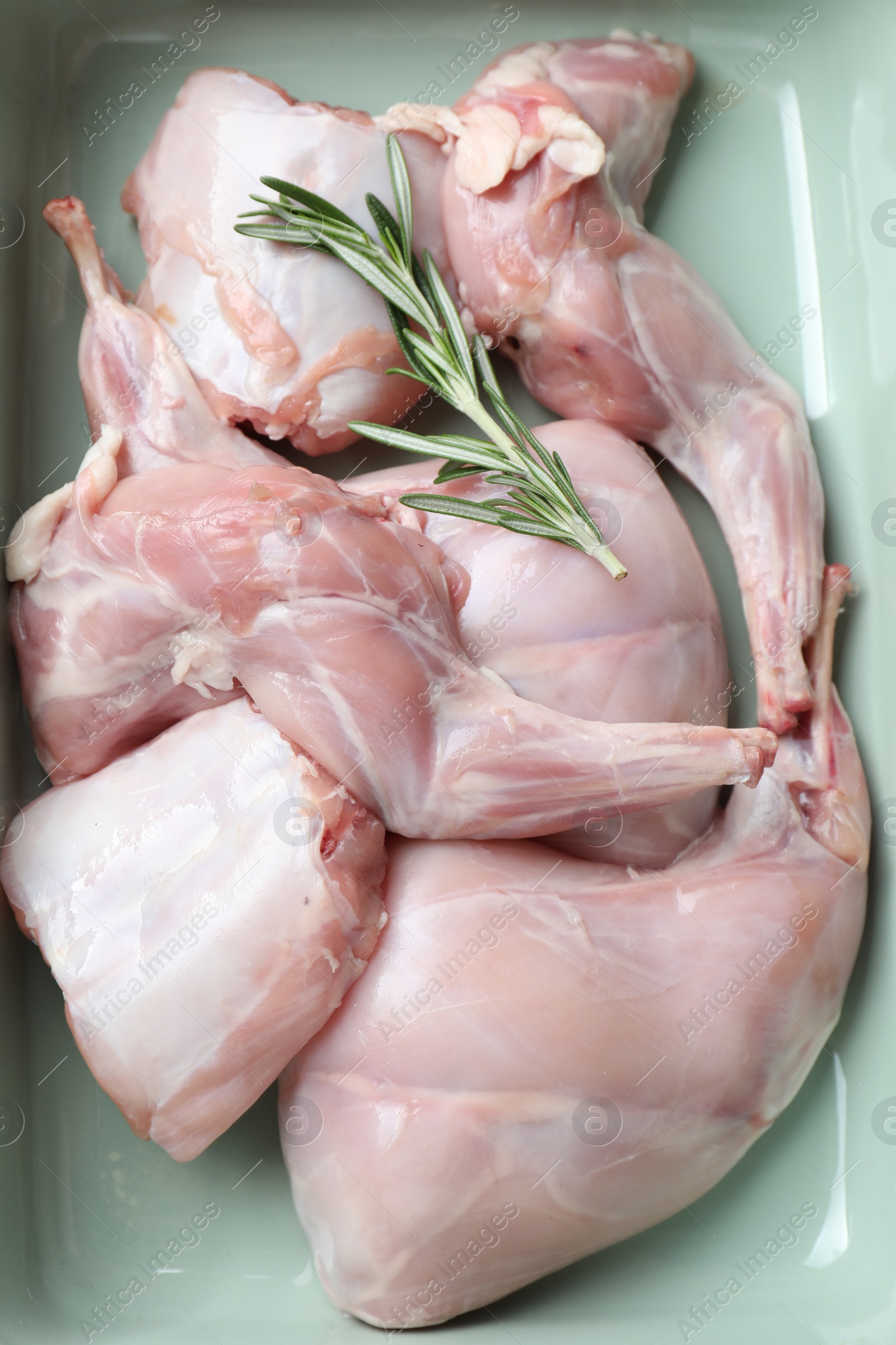 Photo of Raw rabbit meat and rosemary in baking dish, top view