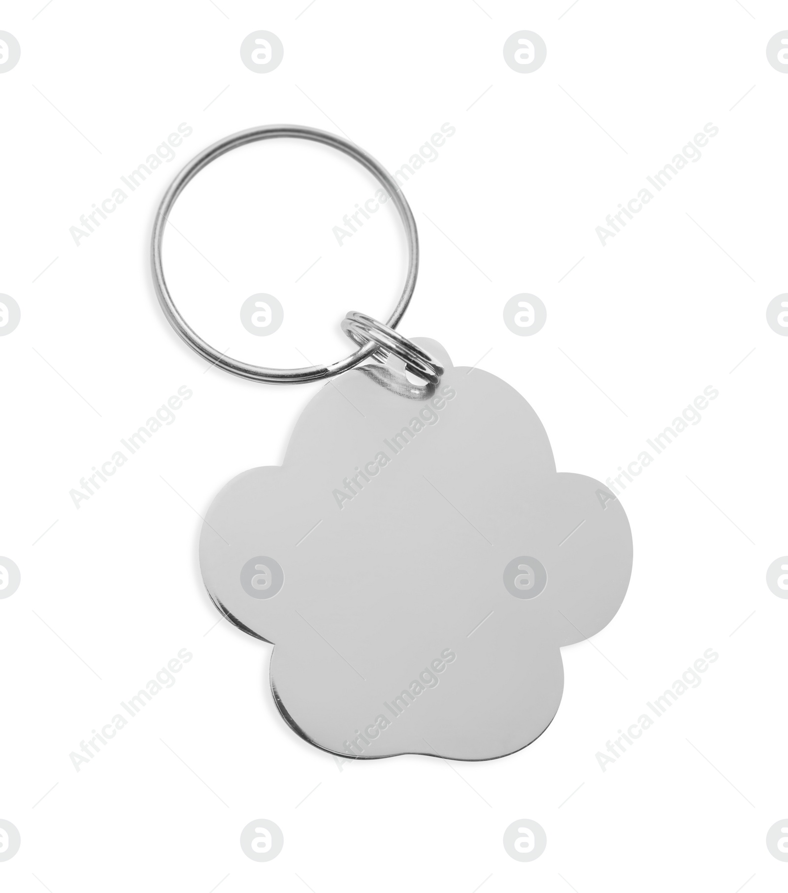 Photo of Silver metal tag with ring isolated on white. Pet accessory