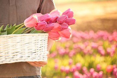 Photo of Man holding basket with blossoming tulips outdoors on sunny spring day