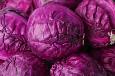 Pile of ripe red cabbages as background
