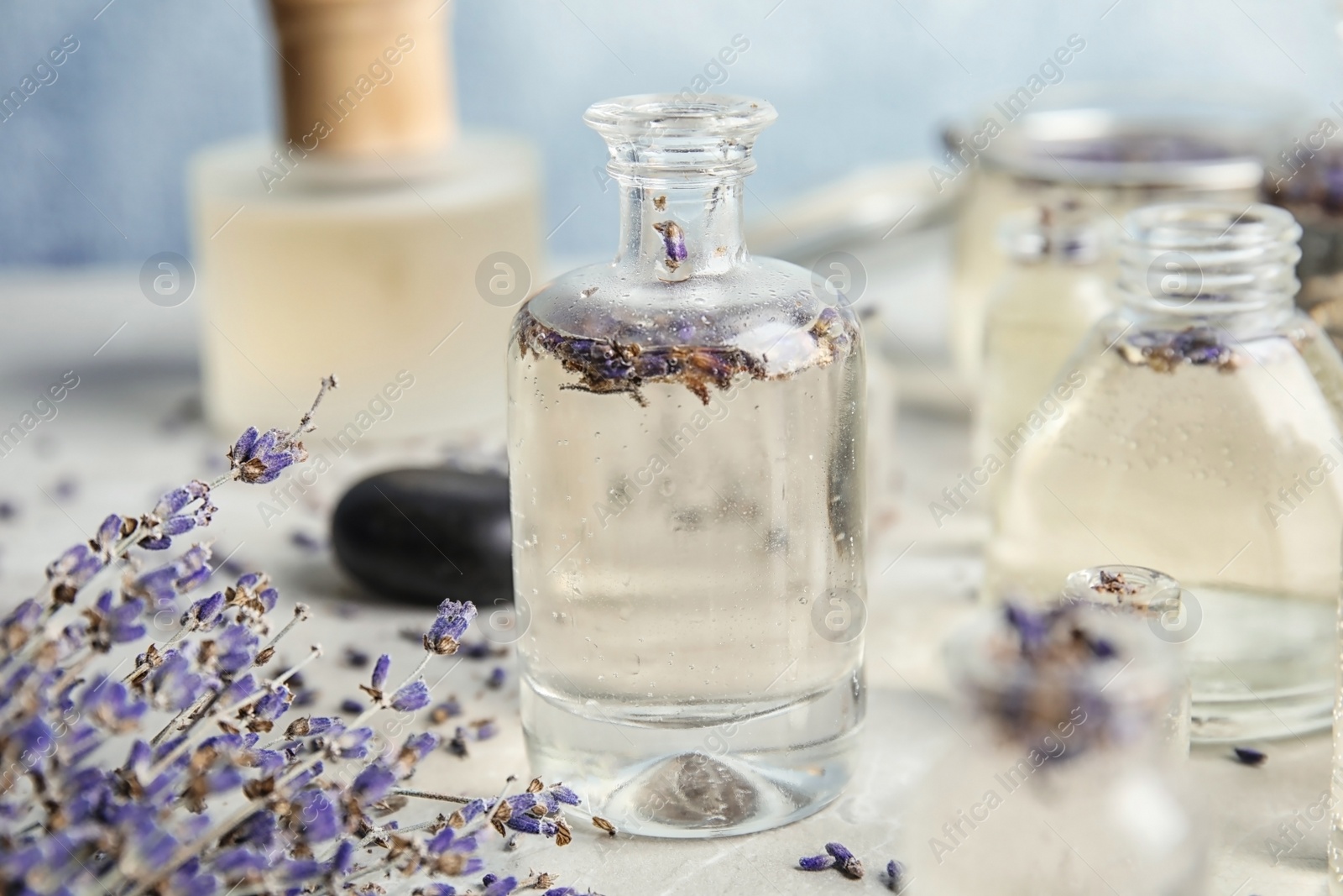 Photo of Bottles with natural herbal oil and lavender flowers on color table, closeup