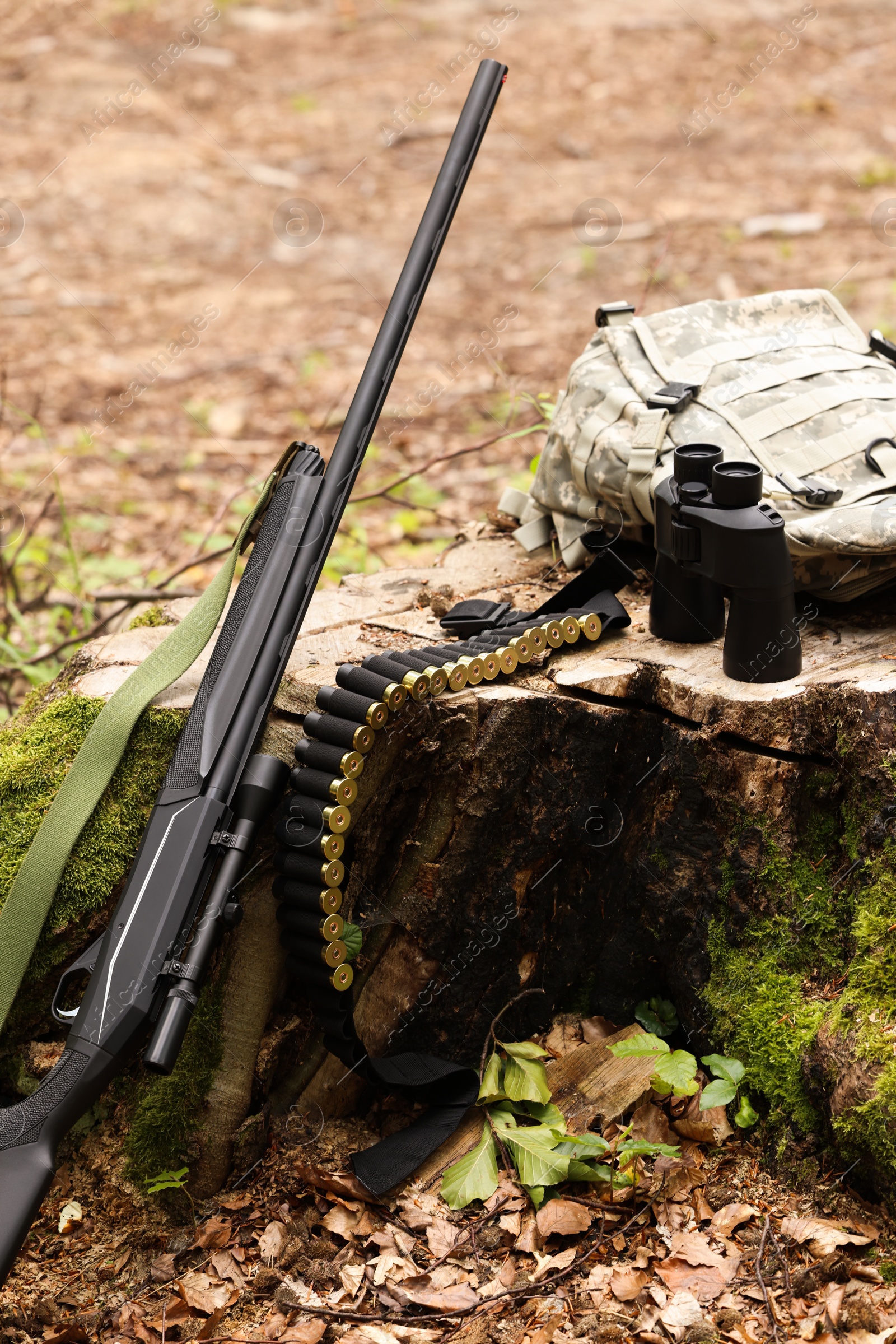 Photo of Hunting rifle, backpack, cartridges and binoculars on tree stump outdoors