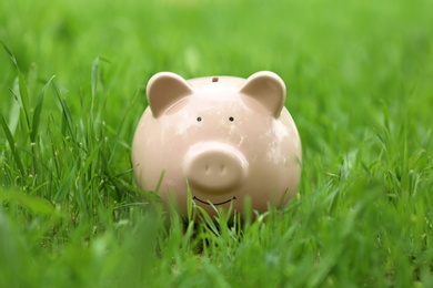 Photo of Cute piggy bank in green grass outdoors