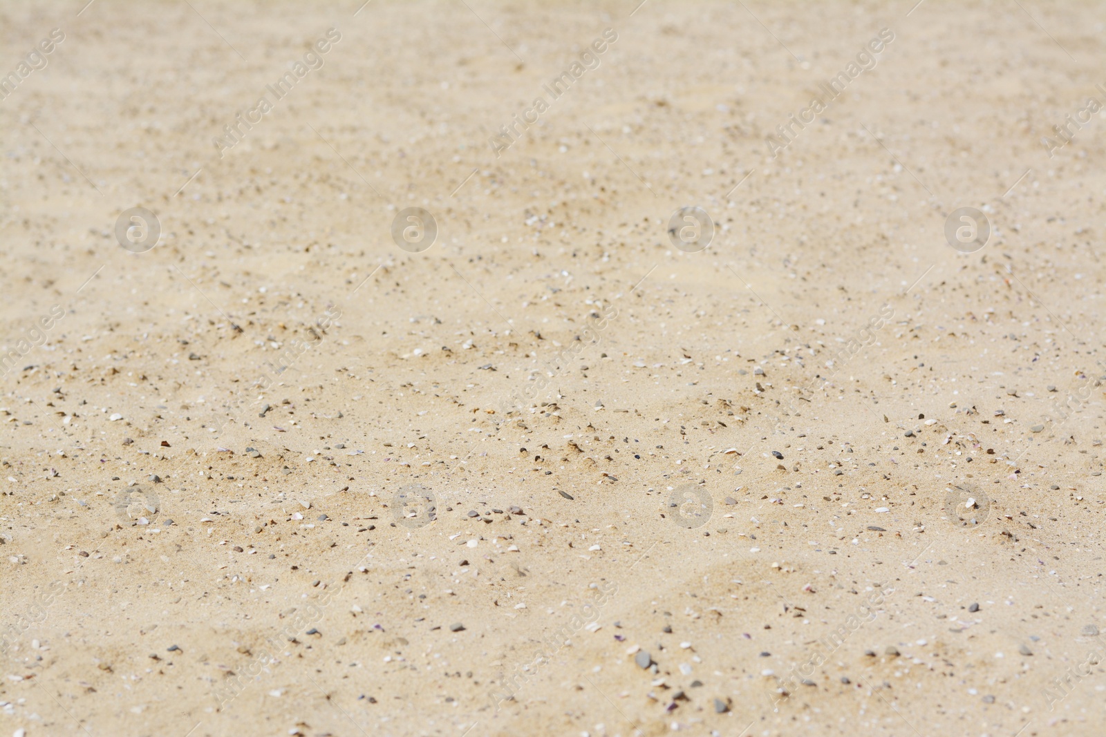 Photo of Texture of sandy beach as background, closeup