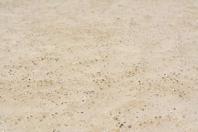 Texture of sandy beach as background, closeup