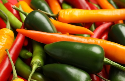 Different ripe chili peppers as background, closeup