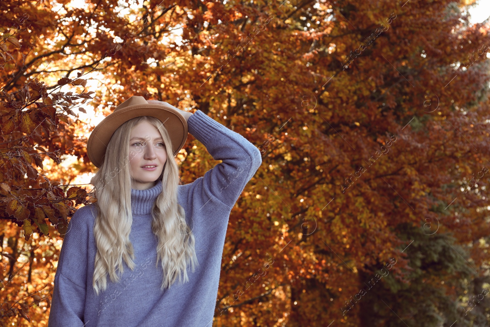 Photo of Portrait of beautiful young woman with hat in autumn forest. Space for text