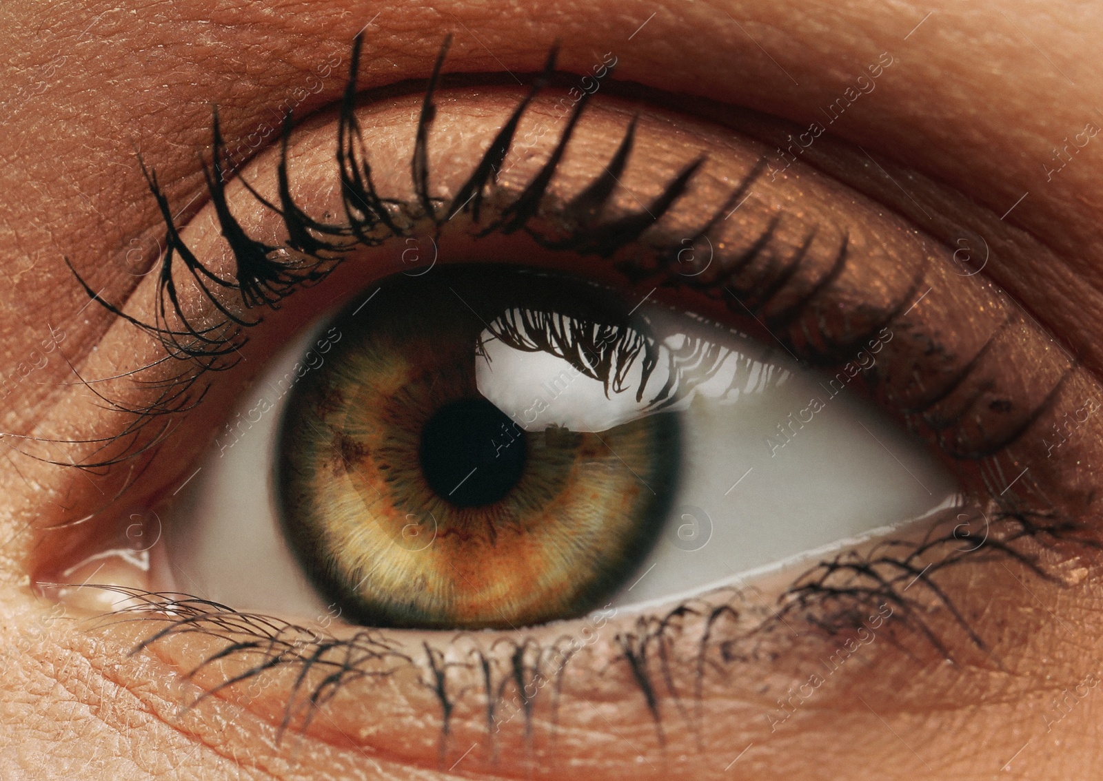 Image of Closeup view of woman with beautiful eye