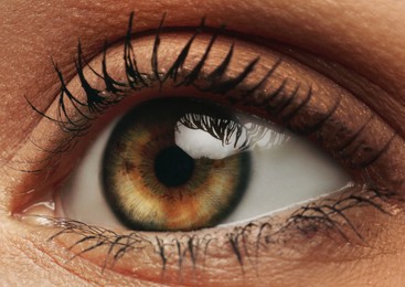 Image of Closeup view of woman with beautiful eye