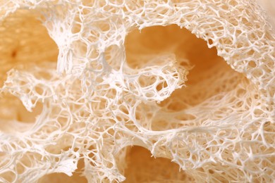 Photo of Loofah sponge as background, closeup. Personal hygiene product