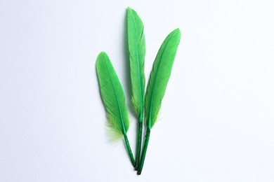 Photo of Green feathers on white background, flat lay