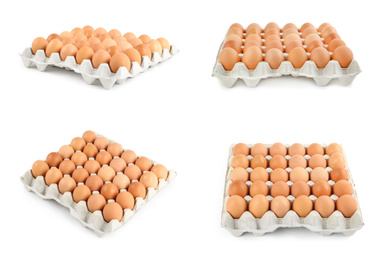 Set of fresh eggs on white background