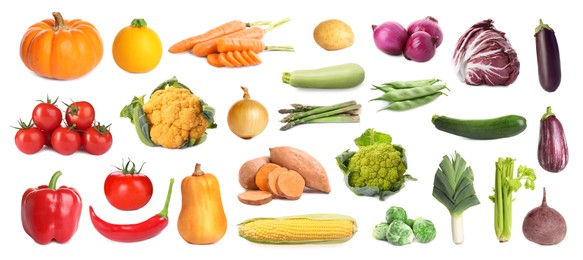 Image of Collection of different fresh vegetables on white background. Banner design