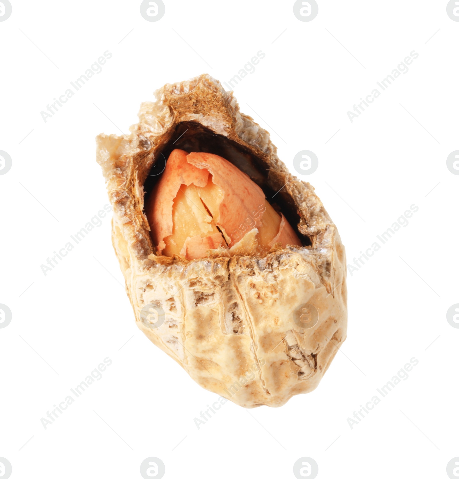 Photo of Broken raw peanut pod isolated on white