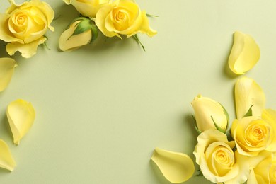 Beautiful yellow roses and petals on light olive background, flat lay. Space for text