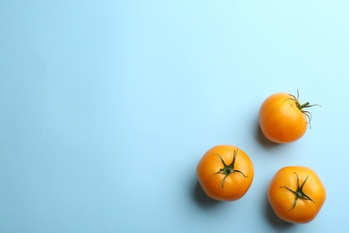 Yellow tomatoes on light blue background, flat lay. Space for text