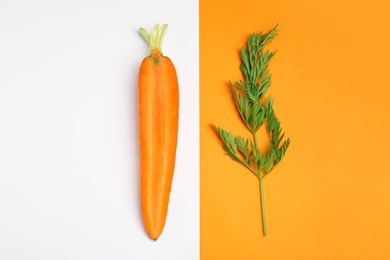 Creative flat lay composition with fresh ripe carrot on color background